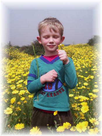 Holy Land spring: 8 March 2001, Rehovot vicinity